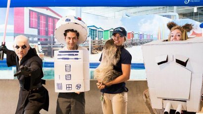 OdySea Star Wars Day