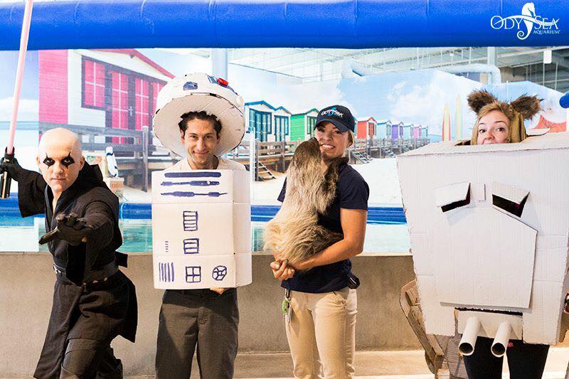 OdySea Star Wars Day